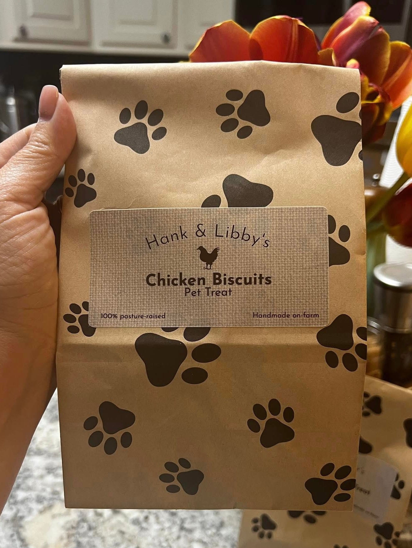 Premium Freeze Dried Pet Treats